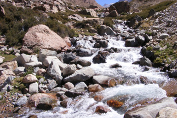 DSCF1209
